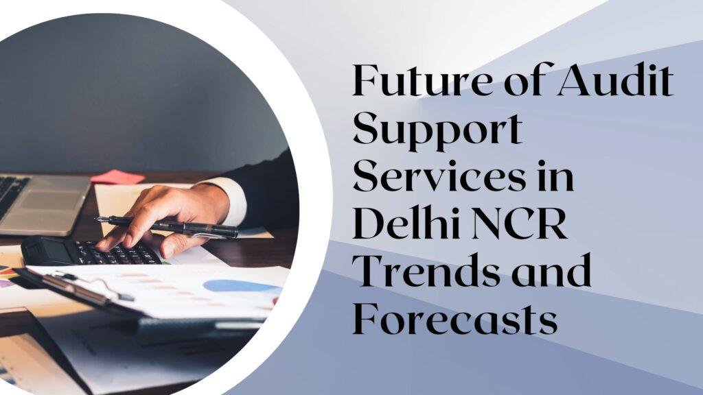 Professional audit support services in Delhi NCR